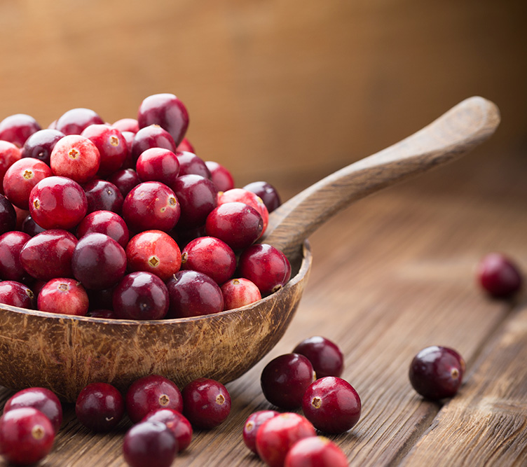 Cranberry1